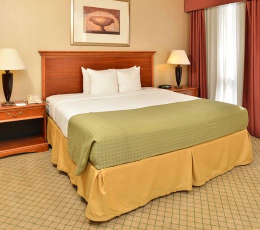 Holiday Inn Hotel & Suites TUCSON AIRPORT-NORTH