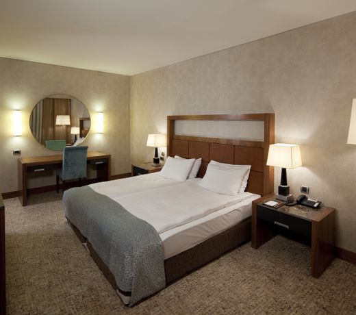 Dedeman Konya Hotel Convention Center