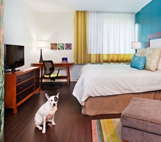 Hotel Indigo Asheville Downtown, an IHG Hotel