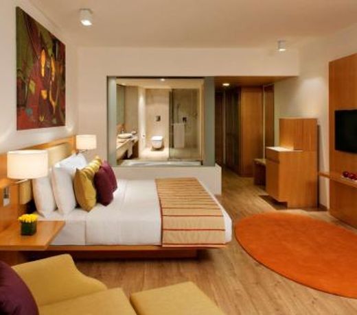 Radisson Blu Plaza Hotel Hyderabad Banjara Hills