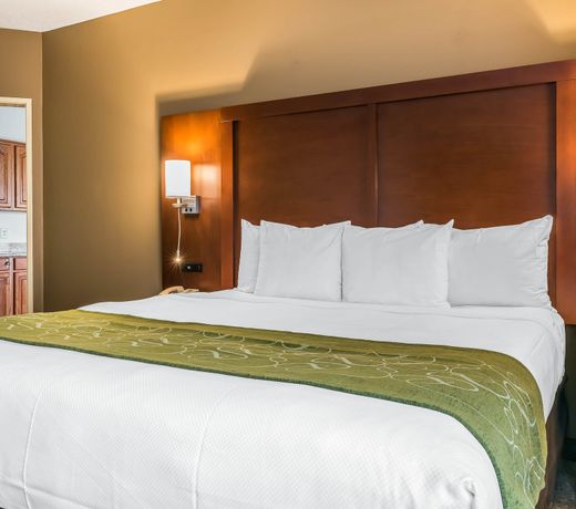 Comfort Suites Springfield