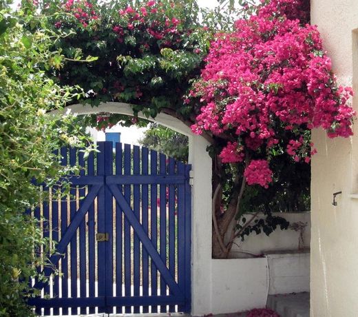 Villa Oleander