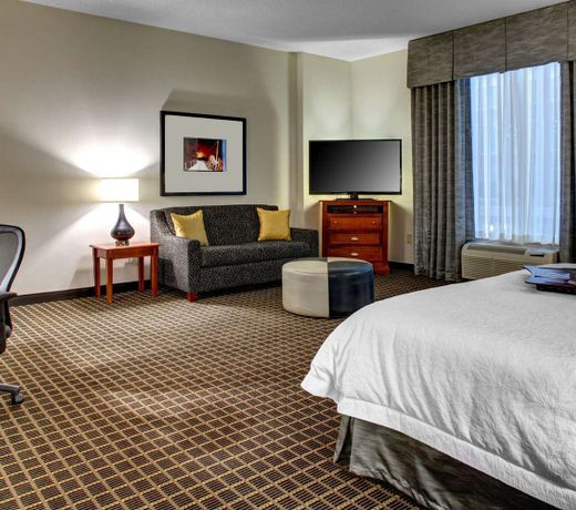 Hampton Inn & Suites Greenville-Downtown-Riverplace