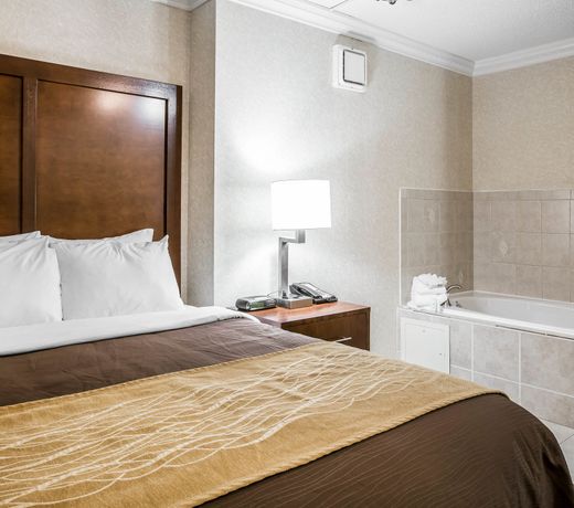 Best Western Plus Greenville I-385 Inn & Suites