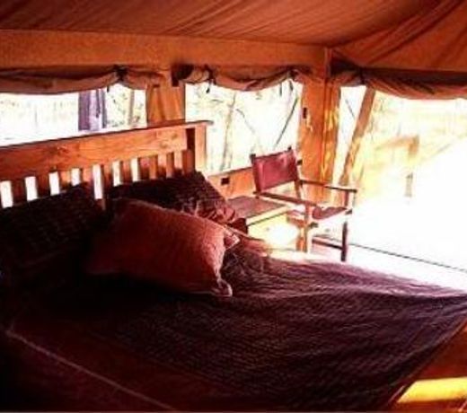 Jabiru Safari Lodge