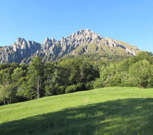 OASI DEI GIRASOLI