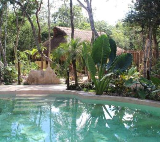 Casa Selva Orquideas