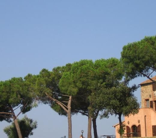 Agriturismo Bronzivalle