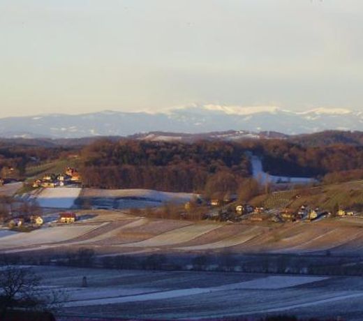 Appartement Weingut Schoberhof