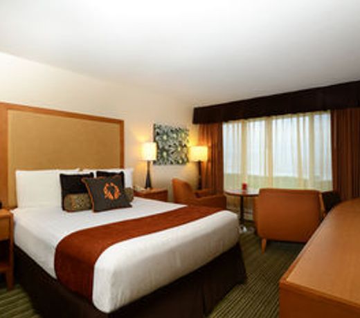 The Coho Oceanfront Lodge