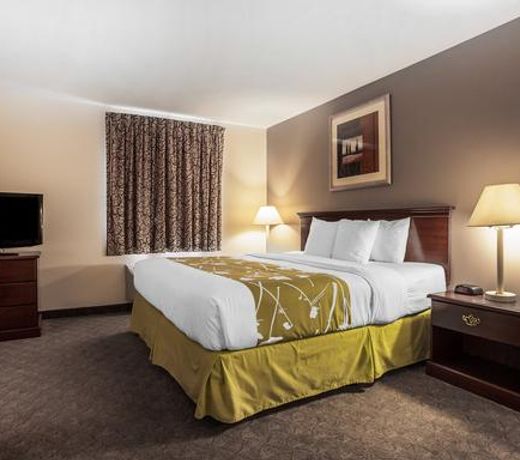 Econo Lodge Inn & Suites Fairgrounds