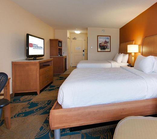 Hilton Garden Inn Fort Worth Medical Center