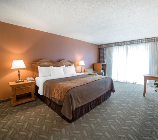 Comfort Inn Downtown Salt Lake City