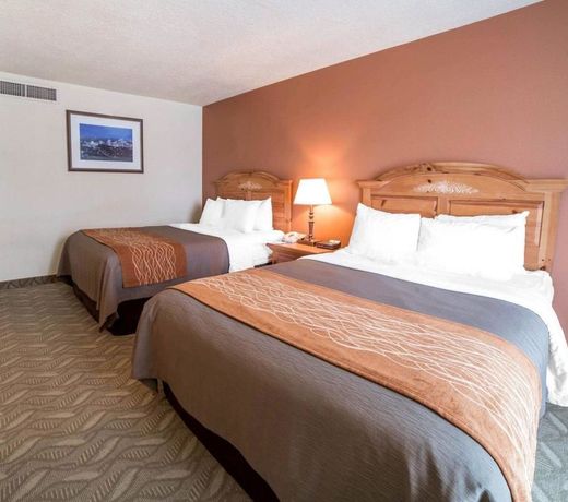 Comfort Inn Downtown Salt Lake City