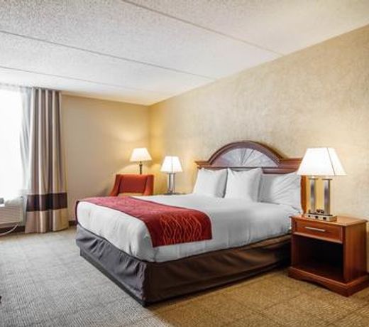 Comfort Inn Madison - Downtown