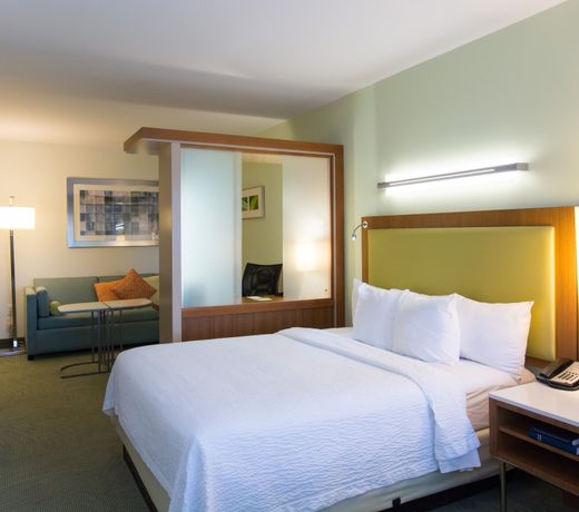 SpringHill Suites Columbia Downtown The Vista