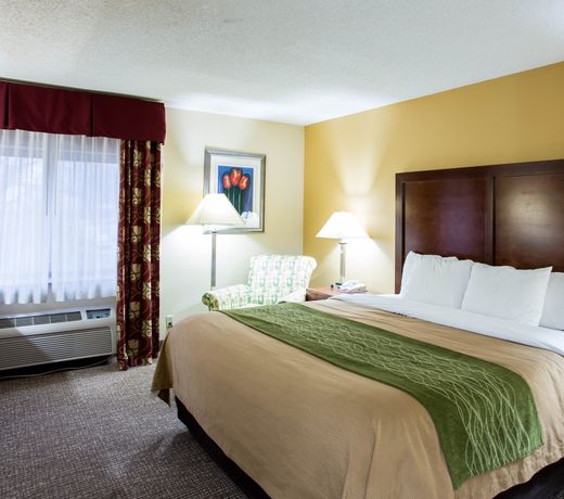 Comfort Inn Columbia -Bush River