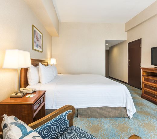 Holiday Inn Convention Center, an IHG Hotel