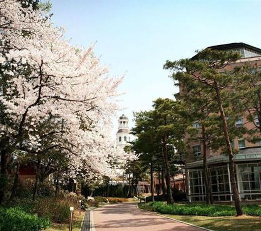 Mayfield Hotel Seoul
