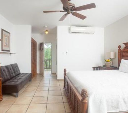 Lazy Parrot Inn & Mini Resort
