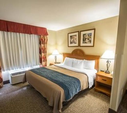 Comfort Inn & Suites Saint Augustine