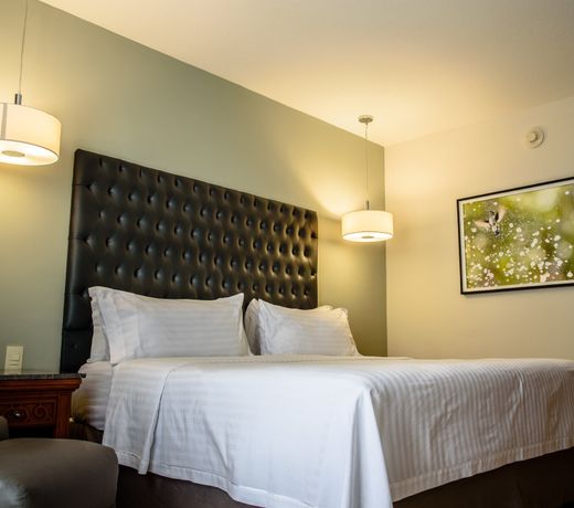Holiday Inn Tuxtla Gutierrez, an IHG Hotel