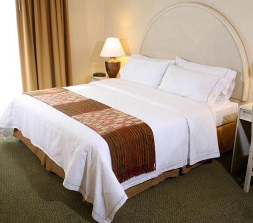Holiday Inn Express Torreon, an IHG Hotel