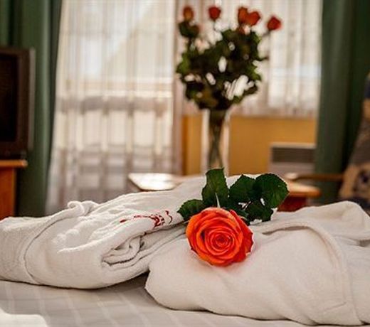 Hotel Skalny