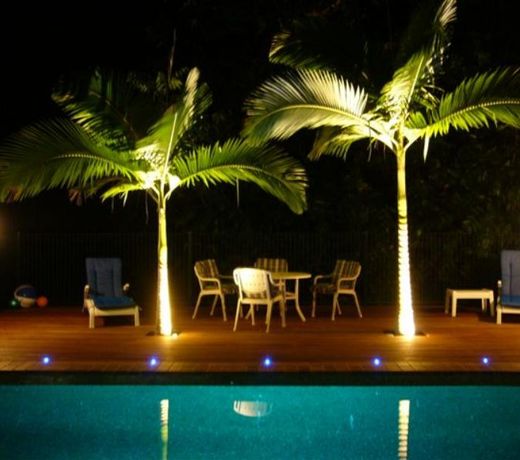 A TROPICAL ESCAPE B&B