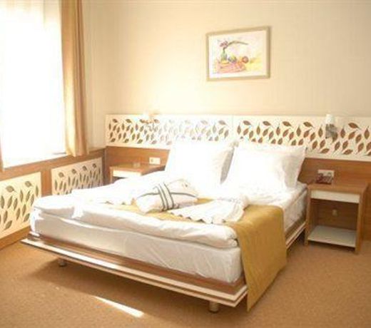 TULPAR PALAs HOTEL