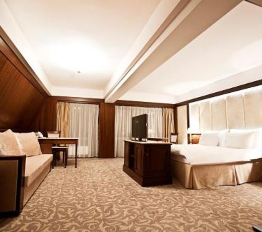 Hotel International