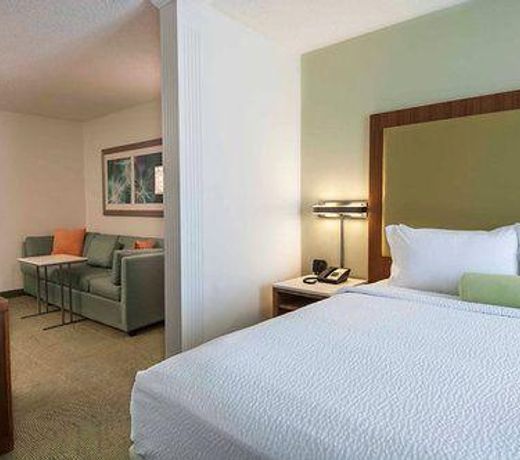 SpringHill Suites by Marriott Baton Rouge South