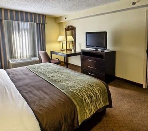 Comfort Inn University Area