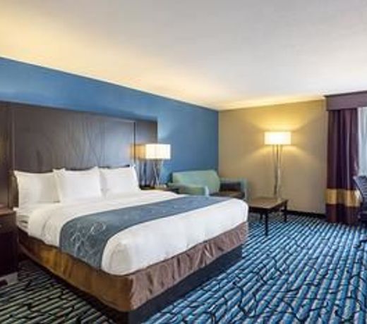 Comfort Suites University