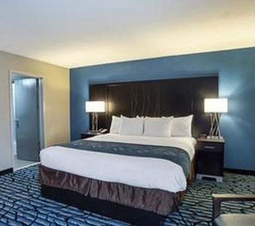 Comfort Suites University