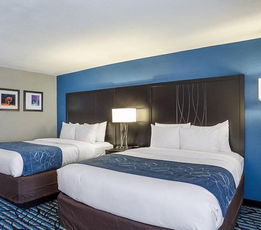Comfort Suites University
