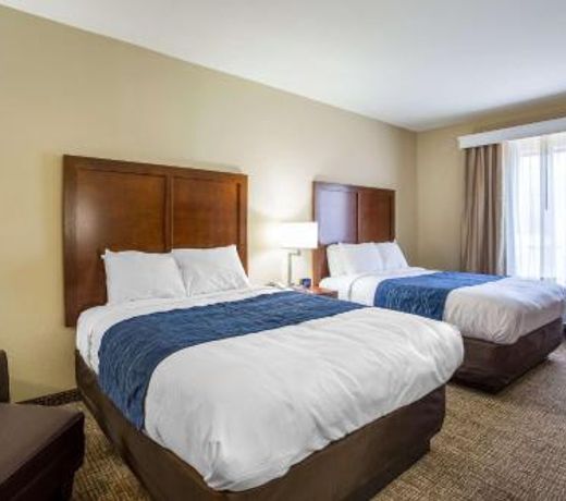 Comfort Inn & Suites Baton Rouge Airport