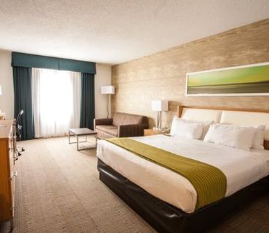 Hotel Holiday Inn Rapid City - Rushmore Plaza