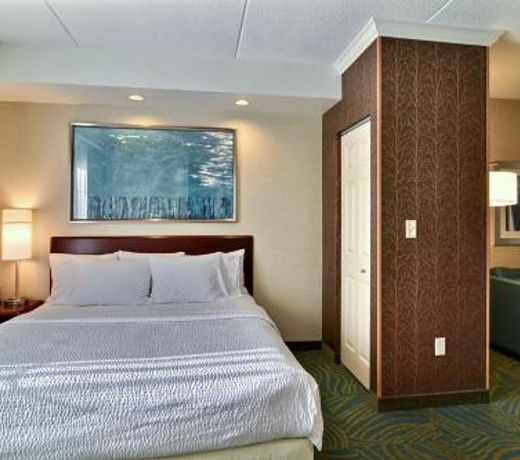 Springhill Suites by Marriott State College