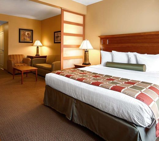 Best Western PLUS University Park Inn & Suites
