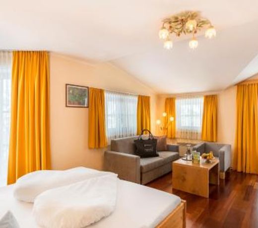 HAIDVOGL KINDERHOTEL Zell am See