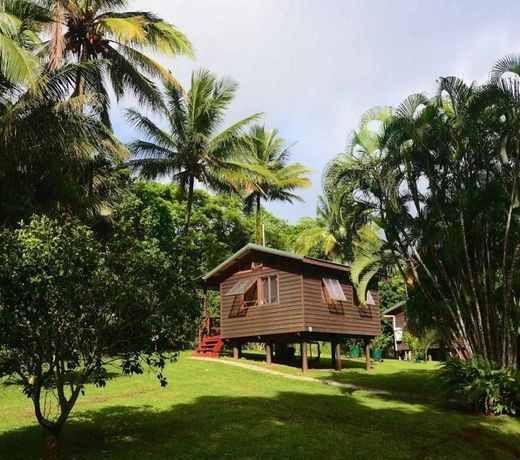 Daintree Rainforest Bungalows