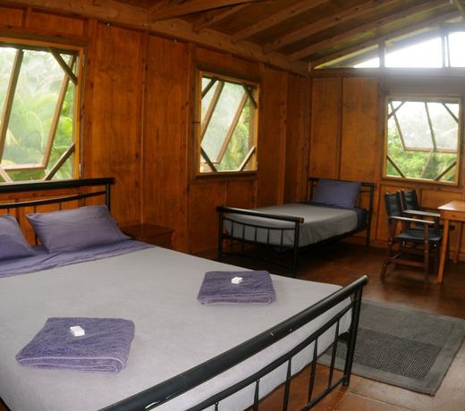 Daintree Rainforest Bungalows