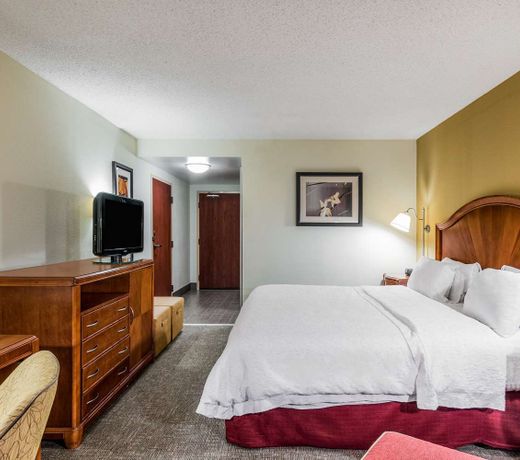 Hampton Inn Roanoke/Hollins - I-81