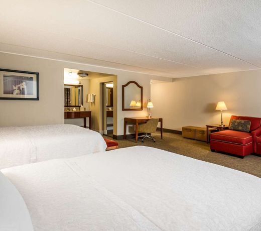 Hampton Inn Roanoke/Hollins - I-81