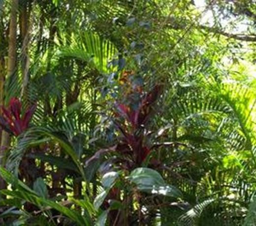 Bellingen Koompartoo Retreat