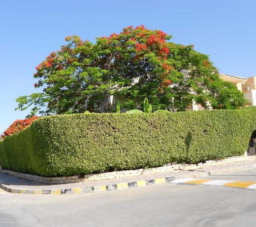 Marina Villa North Coast