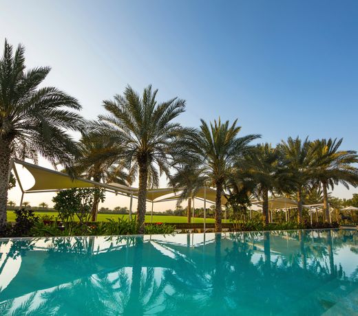 Melia Desert Palm Member of Melia Collection