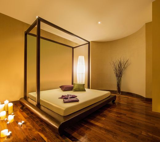 Melia Desert Palm Member of Melia Collection