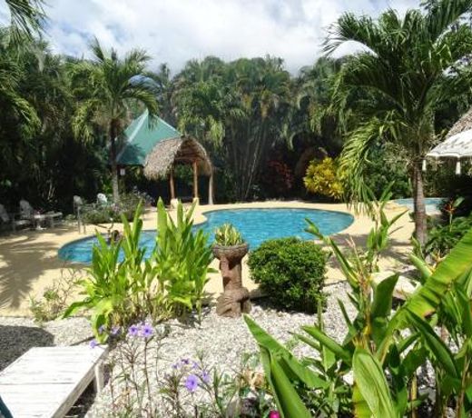 Indigo Yoga Surf Resort